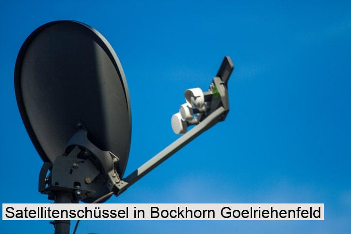 Satellitenschüssel in Bockhorn Goelriehenfeld